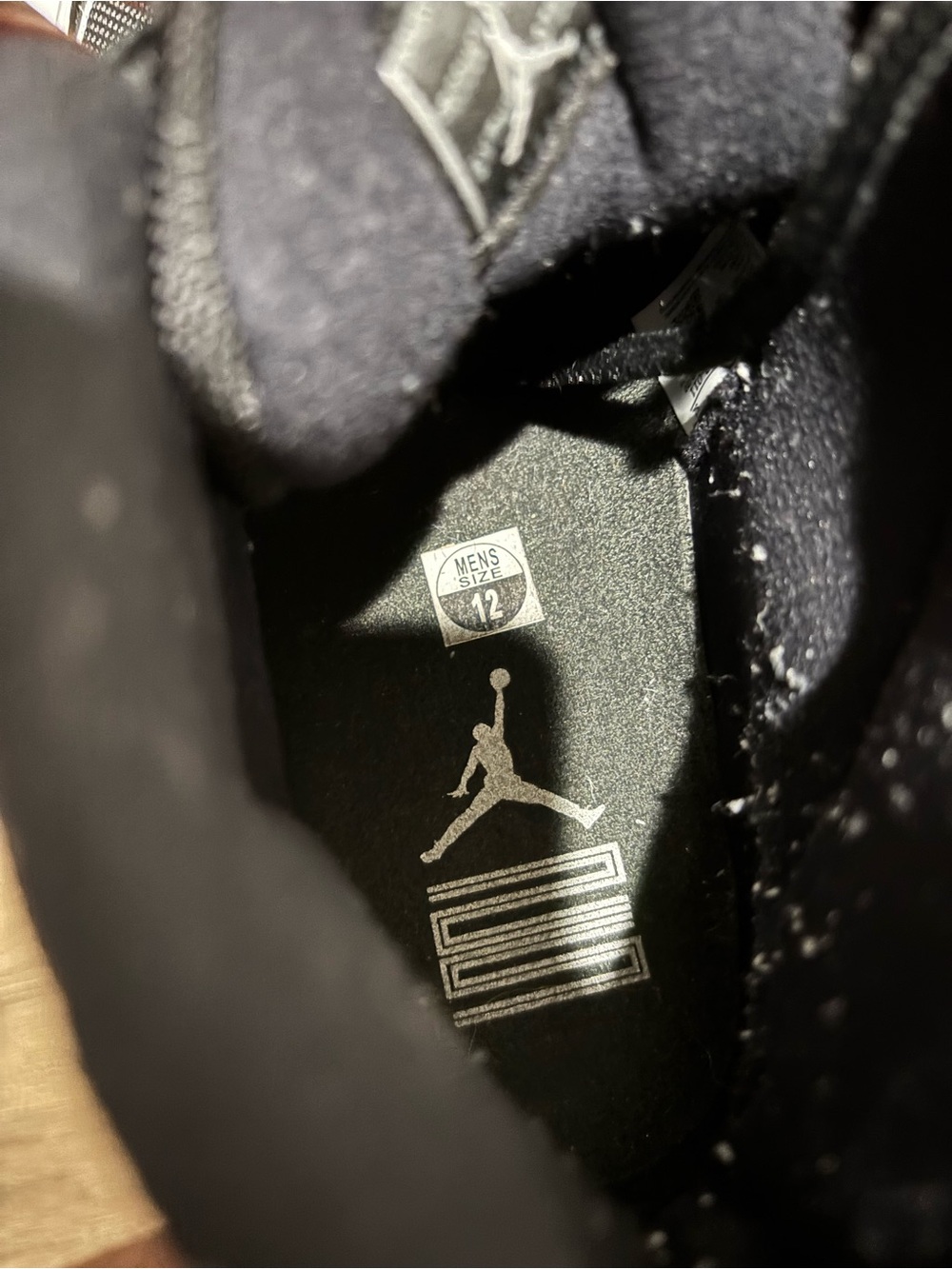 Air Jordan 11 Retro “Jubilee / 25th Anniversary